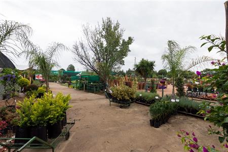 False - Commercial Property For Sale in Kyalami AH, Midrand, Gauteng - M19161