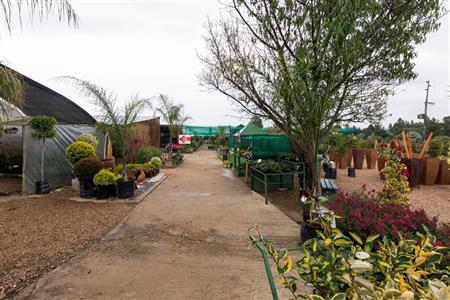 False - Commercial Property For Sale in Kyalami AH, Midrand, Gauteng - M19161