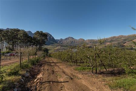 False - Farm For Sale in Stellenbosch Farms, Stellenbosch, Western Cape - M10782
