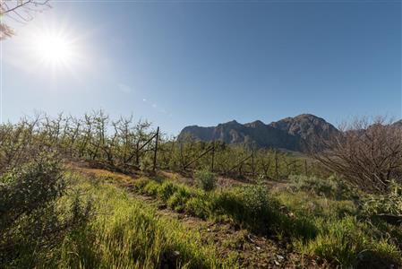 False - Farm For Sale in Stellenbosch Farms, Stellenbosch, Western Cape - M10782