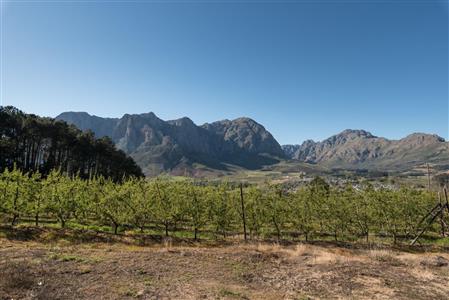 False - Farm For Sale in Stellenbosch Farms, Stellenbosch, Western Cape - M10782