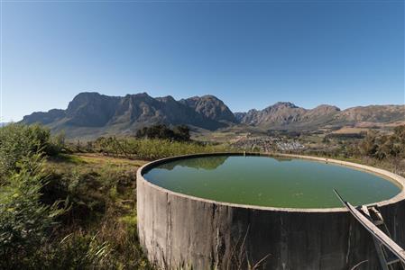 False - Farm For Sale in Stellenbosch Farms, Stellenbosch, Western Cape - M10782