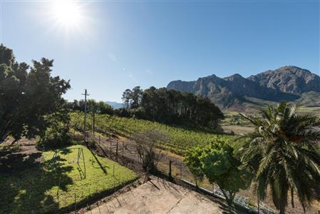 False - Farm For Sale in Stellenbosch Farms, Stellenbosch, Western Cape - M10782