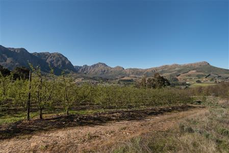 False - Farm For Sale in Stellenbosch Farms, Stellenbosch, Western Cape - M10782
