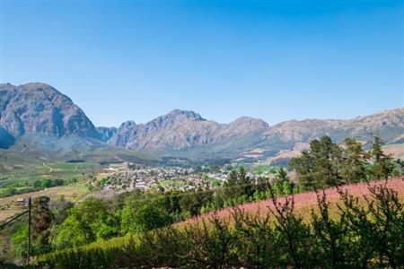 False - Farm For Sale in Stellenbosch Farms, Stellenbosch, Western Cape - M10782