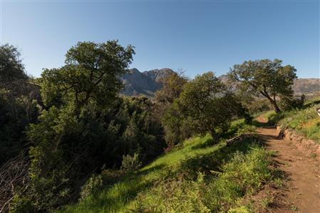 False - Farm For Sale in Stellenbosch Farms, Stellenbosch, Western Cape - M10782
