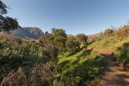 False - Farm For Sale in Stellenbosch Farms, Stellenbosch, Western Cape - M10782