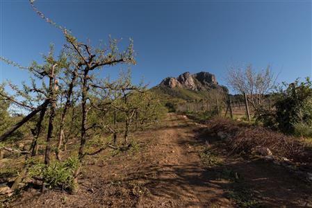False - Farm For Sale in Stellenbosch Farms, Stellenbosch, Western Cape - M10782