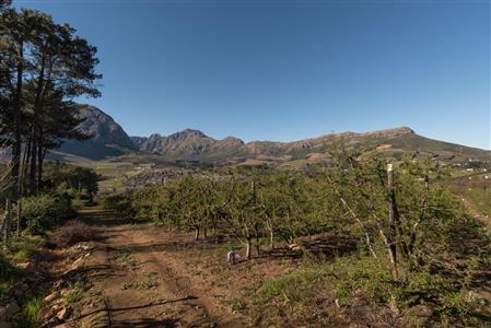 False - Farm For Sale in Stellenbosch Farms, Stellenbosch, Western Cape - M10782