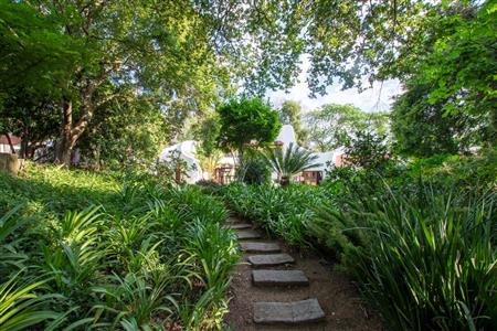 False - Hotel For Sale in Sandton Central, Sandton, Gauteng - M19021