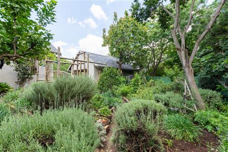 False - House For Sale in Bryanston, Sandton, Gauteng - M10392
