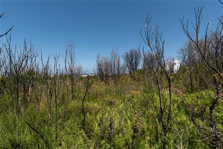 False - Vacant Land For Sale in Bettys Bay, Western Cape - M19181