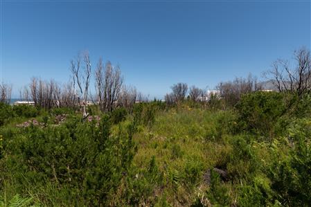 False - Vacant Land For Sale in Bettys Bay, Western Cape - M19181