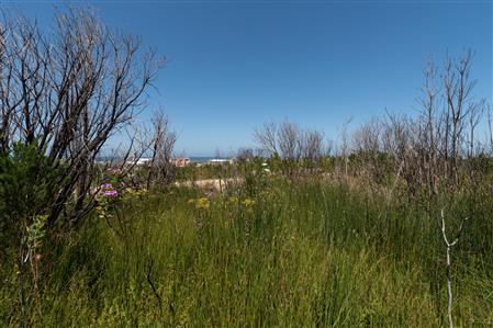 False - Vacant Land For Sale in Bettys Bay, Western Cape - M19181