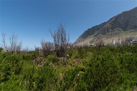 False - Vacant Land For Sale in Bettys Bay, Western Cape - M19181