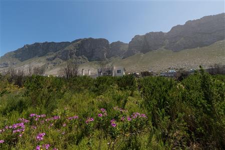False - Vacant Land For Sale in Bettys Bay, Western Cape - M19181