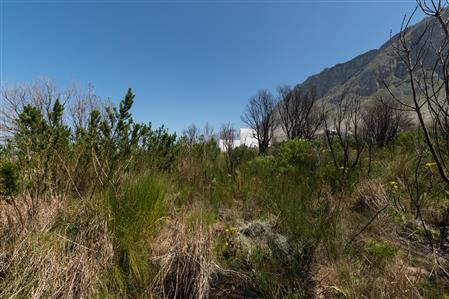 False - Vacant Land For Sale in Bettys Bay, Western Cape - M19181