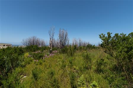 False - Vacant Land For Sale in Bettys Bay, Western Cape - M19181