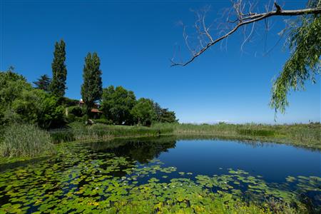 False - Farm For Sale in Stellenbosch Farms, Stellenbosch, Western Cape - M19571