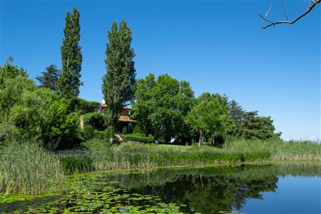 False - Farm For Sale in Stellenbosch Farms, Stellenbosch, Western Cape - M19571