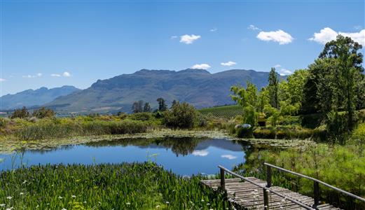 False - Farm For Sale in Stellenbosch Farms, Stellenbosch, Western Cape - M19571