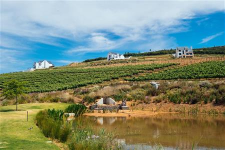 False - Vacant Land For Sale in Weltevreden Hills Estate, Welgevonden, Stellenbosch, Western Cape - M19905