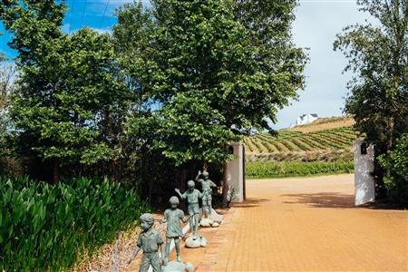 False - Vacant Land For Sale in Weltevreden Hills Estate, Welgevonden, Stellenbosch, Western Cape - M19905