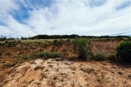 False - Vacant Land For Sale in Weltevreden Hills Estate, Welgevonden, Stellenbosch, Western Cape - M19905