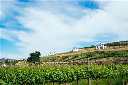 False - Vacant Land For Sale in Weltevreden Hills Estate, Welgevonden, Stellenbosch, Western Cape - M19905