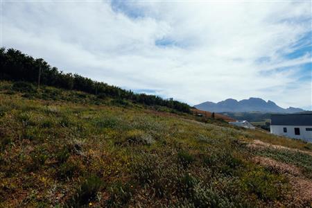 False - Vacant Land For Sale in Weltevreden Hills Estate, Welgevonden, Stellenbosch, Western Cape - M19905