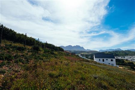 False - Vacant Land For Sale in Weltevreden Hills Estate, Welgevonden, Stellenbosch, Western Cape - M19905