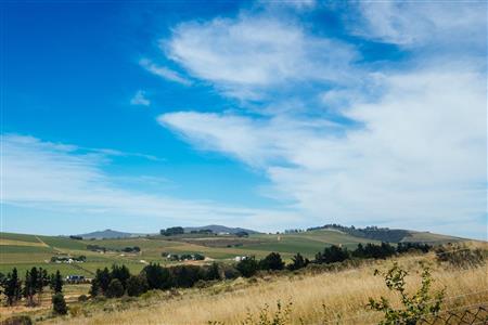 False - Vacant Land For Sale in Weltevreden Hills Estate, Welgevonden, Stellenbosch, Western Cape - M19905
