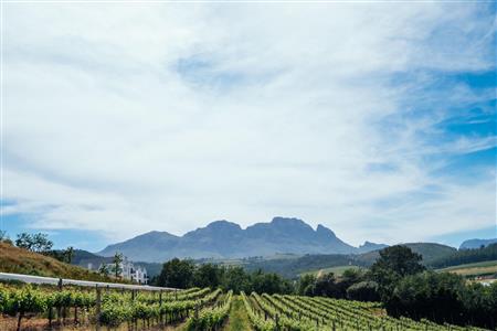 False - Vacant Land For Sale in Weltevreden Hills Estate, Welgevonden, Stellenbosch, Western Cape - M19905