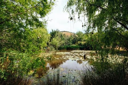 False - Vacant Land For Sale in Weltevreden Hills Estate, Welgevonden, Stellenbosch, Western Cape - M19905