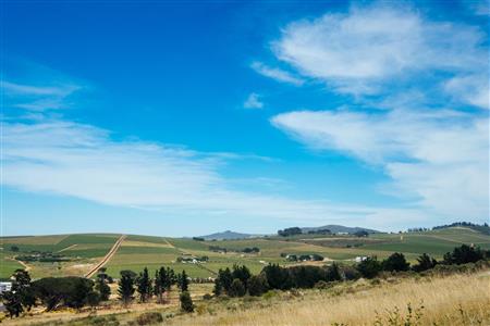 False - Vacant Land For Sale in Weltevreden Hills Estate, Welgevonden, Stellenbosch, Western Cape - M19905