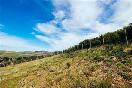 False - Vacant Land For Sale in Weltevreden Hills Estate, Welgevonden, Stellenbosch, Western Cape - M19905