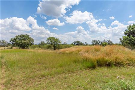 Farm For Sale in Buffelspoort Eco Estate, Modimolle, Limpopo - M110465