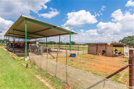 Farm For Sale in Buffelspoort Eco Estate, Modimolle, Limpopo - M110465