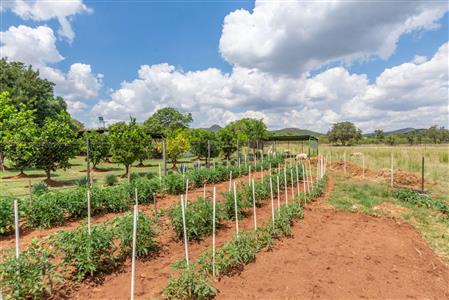 Farm For Sale in Buffelspoort Eco Estate, Modimolle, Limpopo - M110465