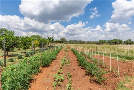 Farm For Sale in Buffelspoort Eco Estate, Modimolle, Limpopo - M110465