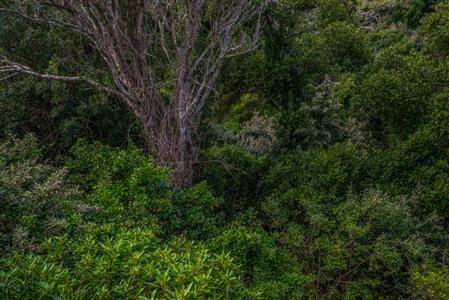 False - Vacant Land For Sale in Herolds Bay, George, Western Cape - M110762