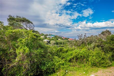False - Vacant Land For Sale in Herolds Bay, George, Western Cape - M110762