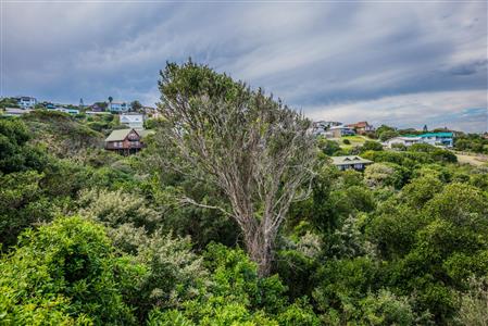 False - Vacant Land For Sale in Herolds Bay, George, Western Cape - M110762