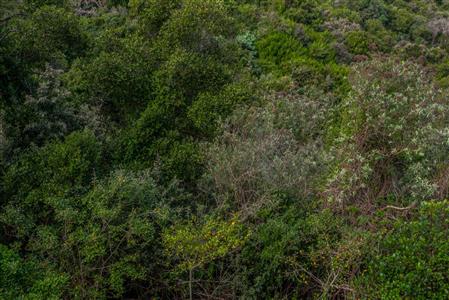 False - Vacant Land For Sale in Herolds Bay, George, Western Cape - M110762