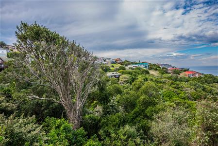 False - Vacant Land For Sale in Herolds Bay, George, Western Cape - M110762