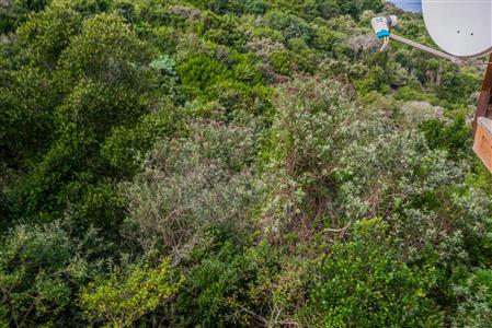 False - Vacant Land For Sale in Herolds Bay, George, Western Cape - M110762