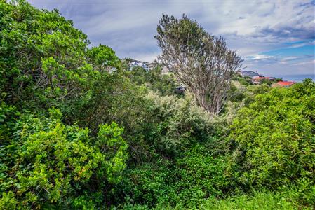 False - Vacant Land For Sale in Herolds Bay, George, Western Cape - M110762