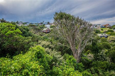 False - Vacant Land For Sale in Herolds Bay, George, Western Cape - M110762