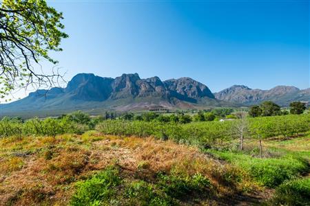 False - Farm For Sale in Stellenbosch Central, Stellenbosch, Western Cape - M15351