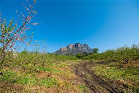 False - Farm For Sale in Stellenbosch Central, Stellenbosch, Western Cape - M15351